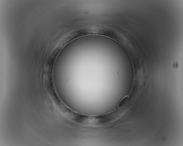 X0000113210217200909241432