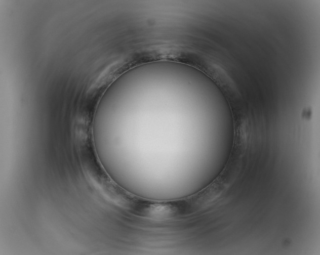 X0000113210218200909241432