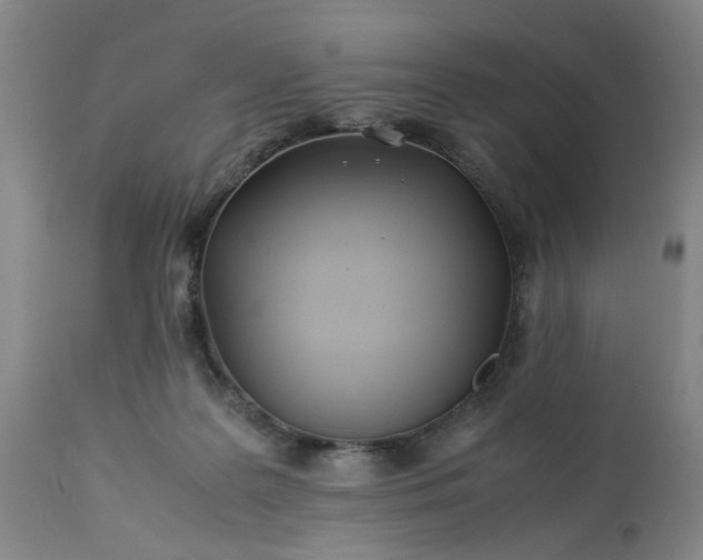 X0000113210219200909241432