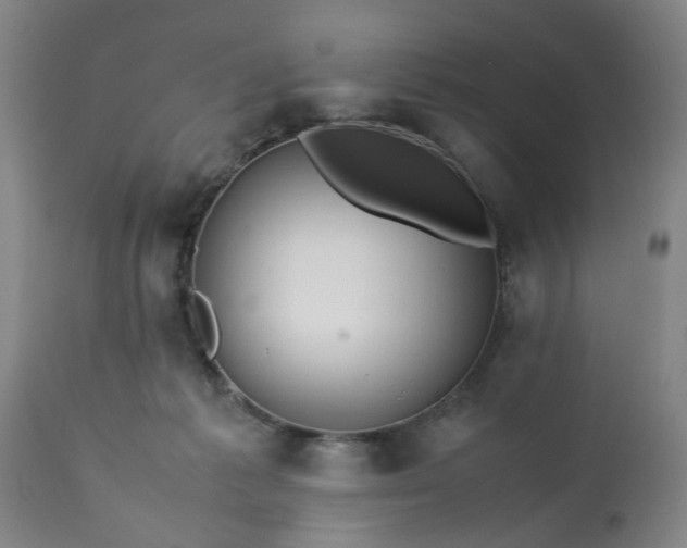 X0000113210221200909241432