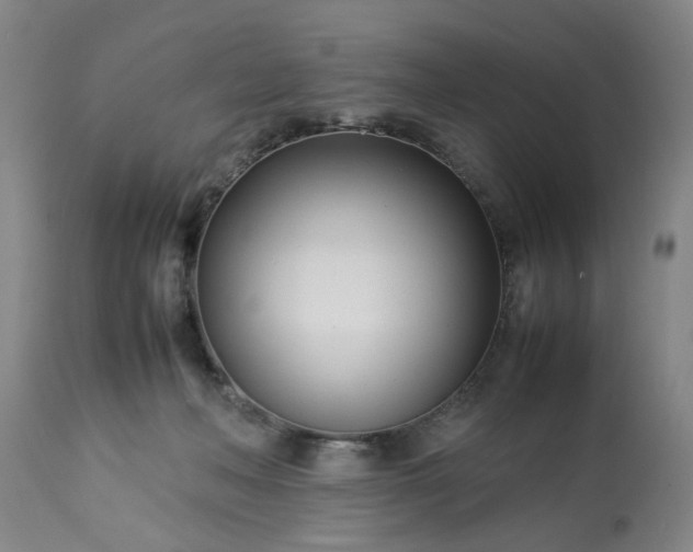 X0000113210222200909241432