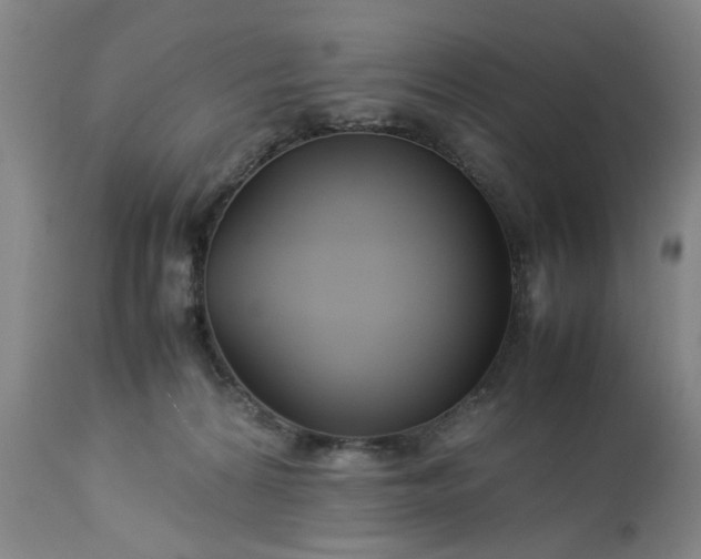 X0000113210224200909241432