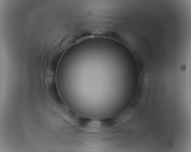 X0000113210227200909241432