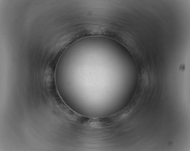 X0000113210228200909241432