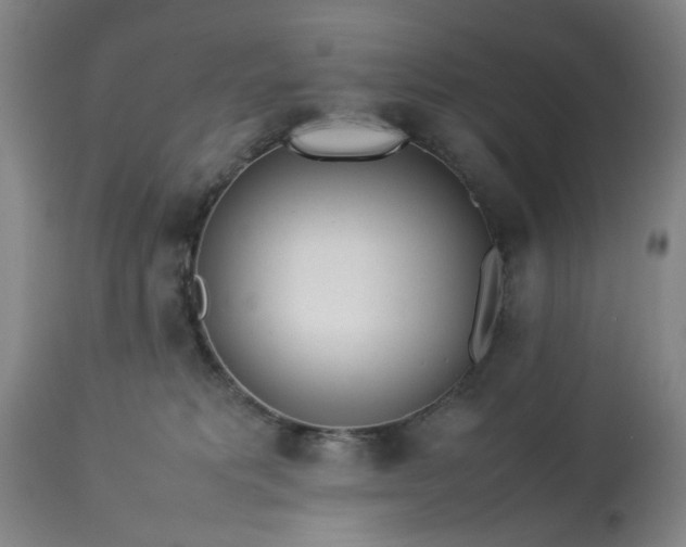 X0000113210229200909241431