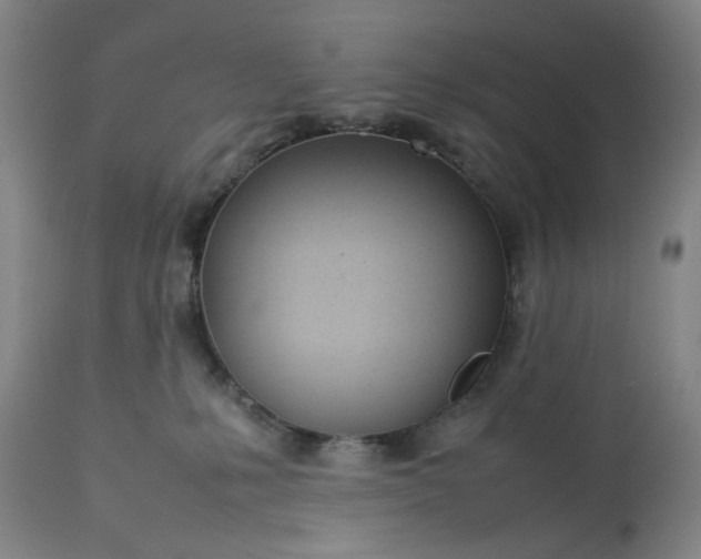 X0000113210231200909241431