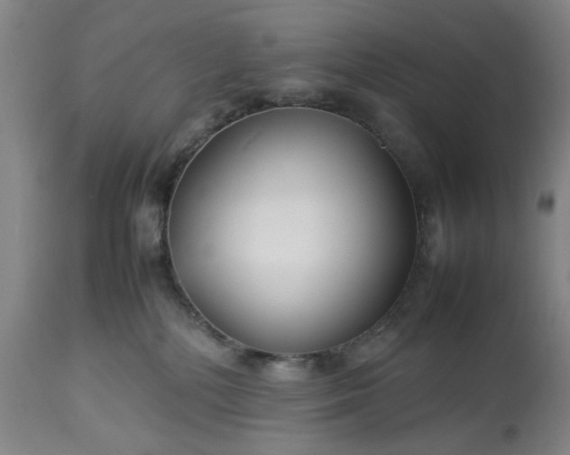 X0000113210232200909241431