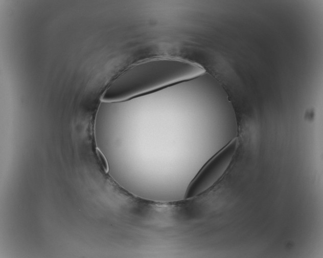 X0000113210233200909241431