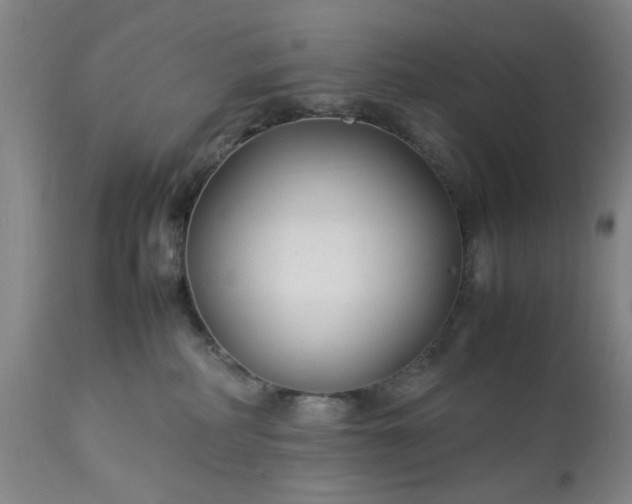 X0000113210234200909241431