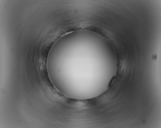 X0000113210236200909241431