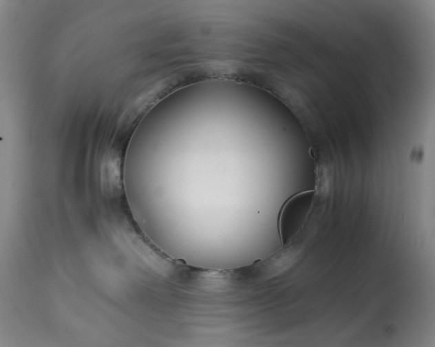 X0000113210238200909241431