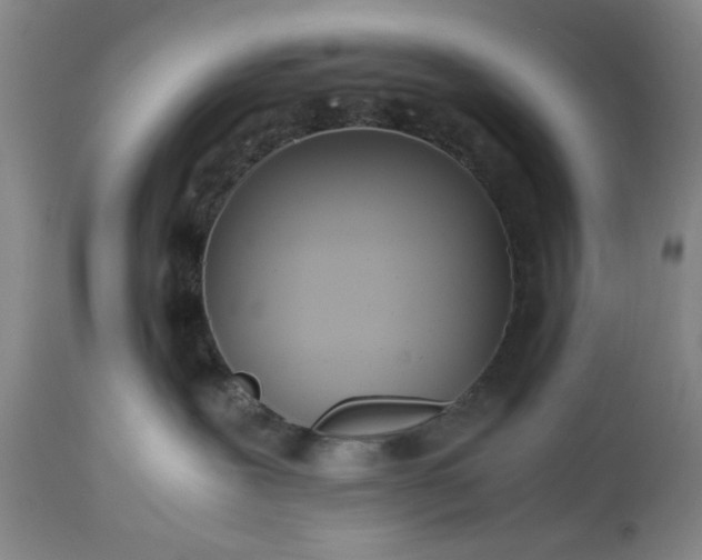 X0000113210239200909241431