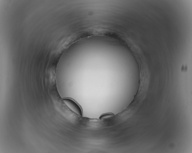 X0000113210240200909241431