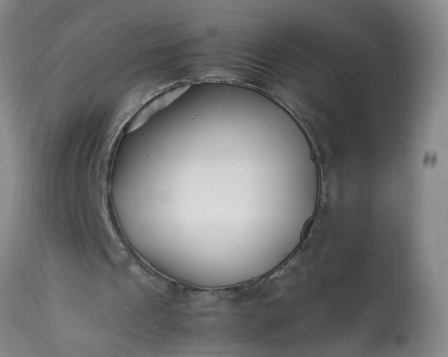 X0000113210241200909241431