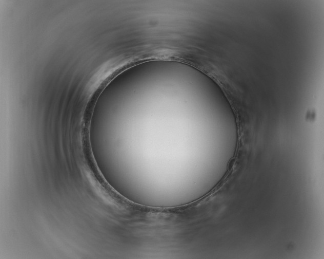 X0000113210242200909241431