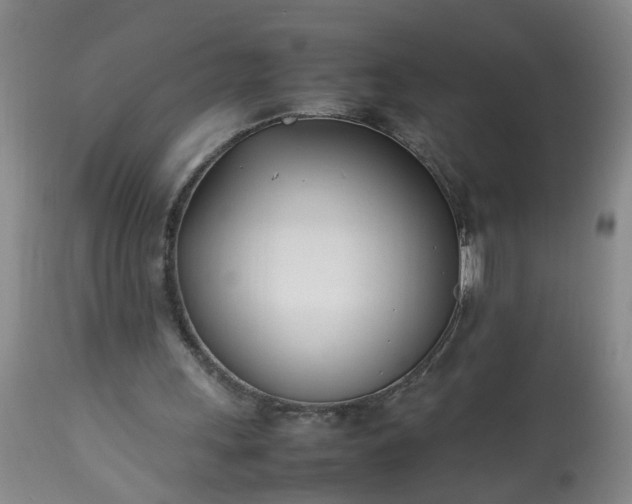 X0000113210243200909241431