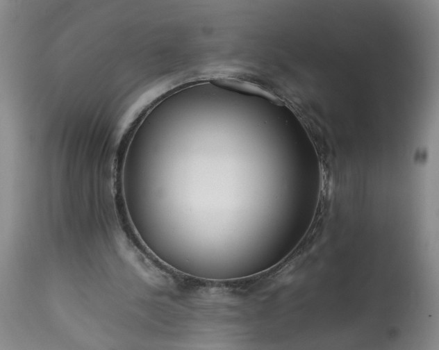 X0000113210244200909241431