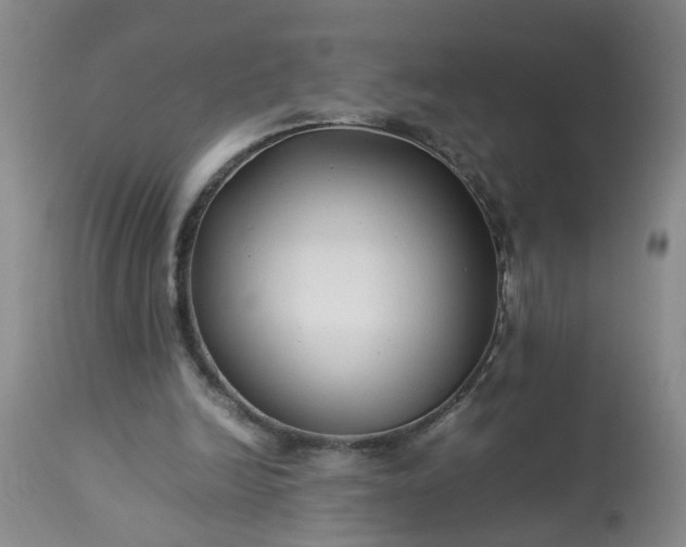 X0000113210246200909241431