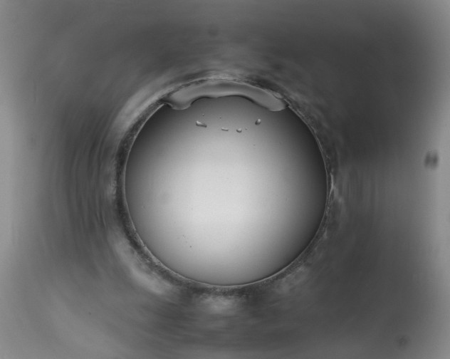 X0000113210247200909241431