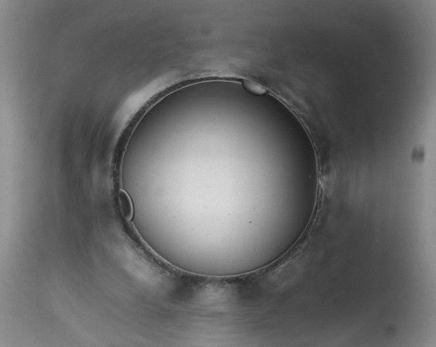 X0000113210248200909241431