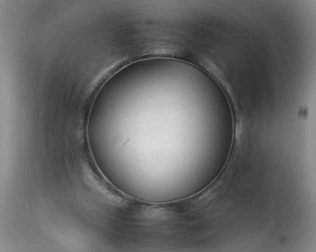 X0000113210249200909241431