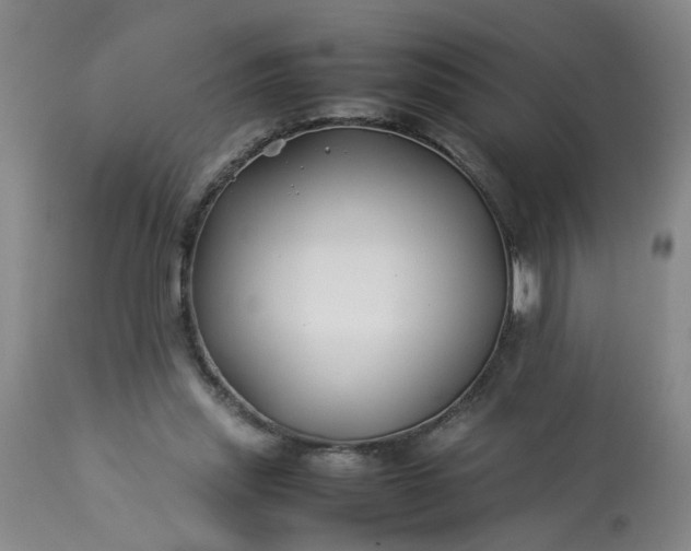 X0000113210253200909241431