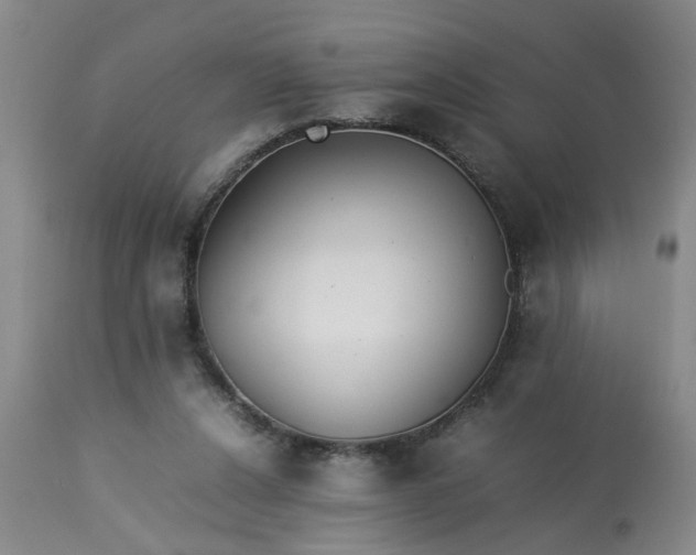 X0000113210256200909241431