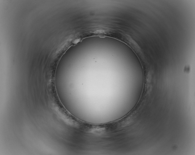 X0000113210257200909241431