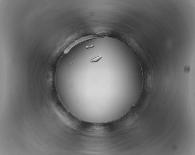 X0000113210260200909241431