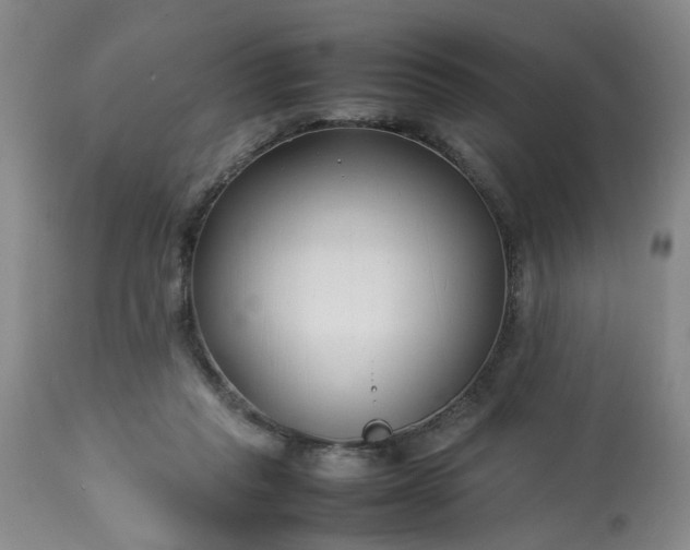 X0000113210261200909241431