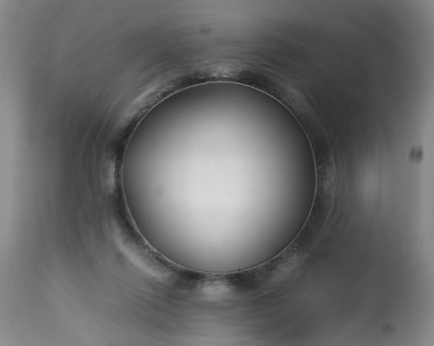 X0000113210262200909241431