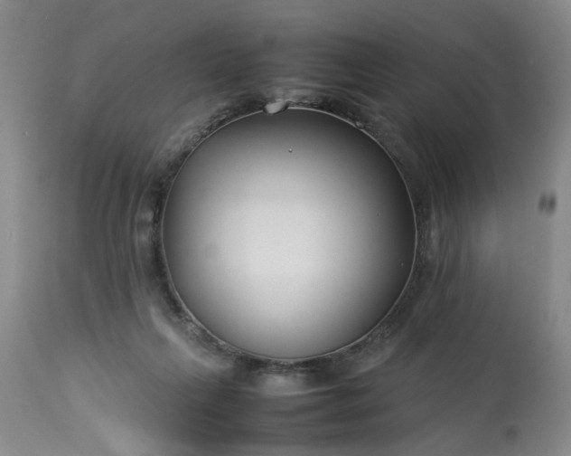 X0000113210263200909241431