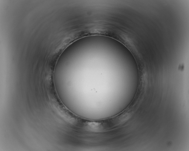 X0000113210265200909241431