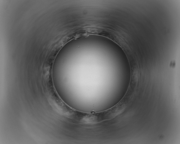 X0000113210271200909241431