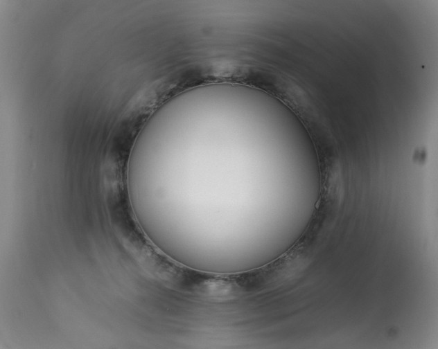 X0000113210272200909241431