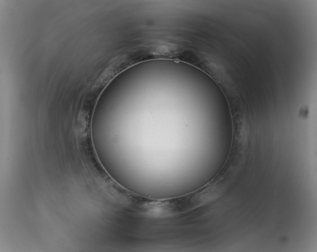 X0000113210273200909241431