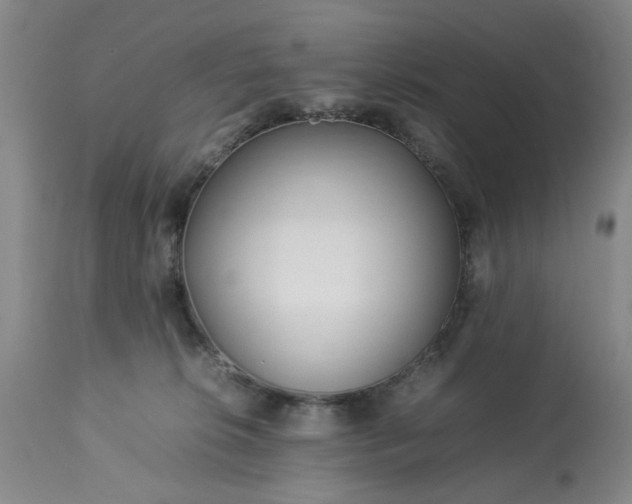 X0000113210276200909241431