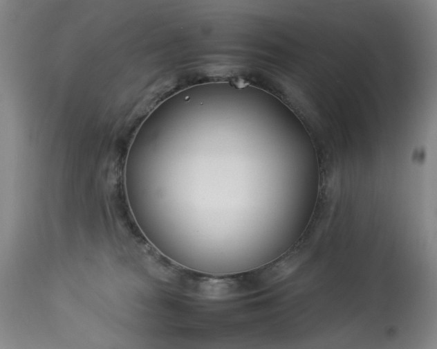 X0000113210277200909241431