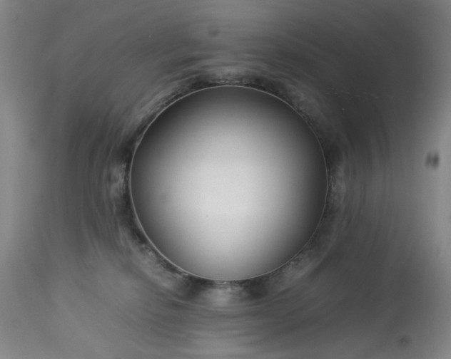 X0000113210278200909241431