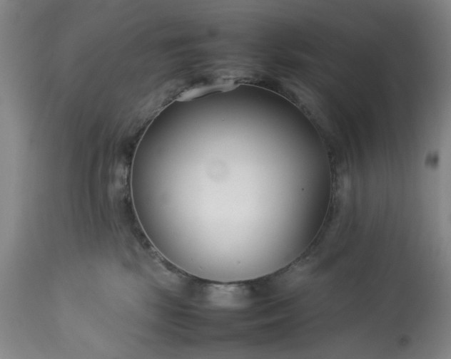 X0000113210281200909241431