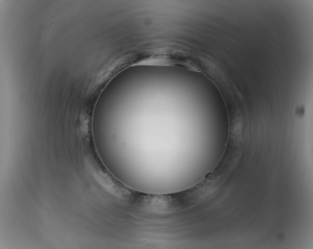 X0000113210282200909241431