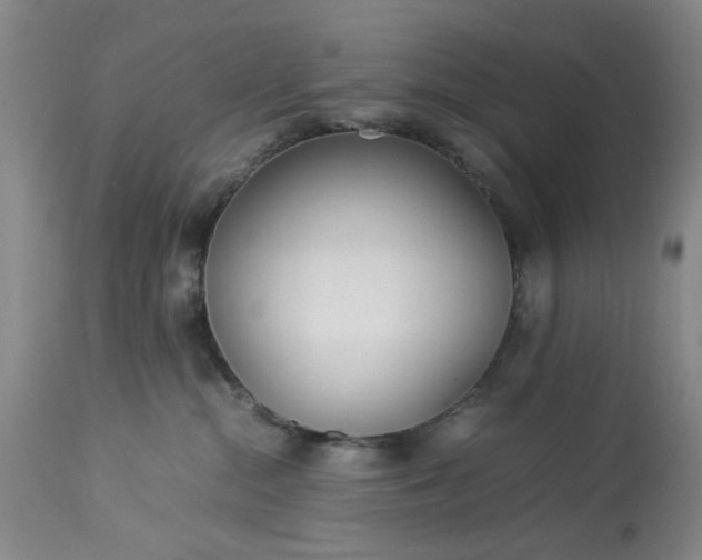 X0000113210284200909241431