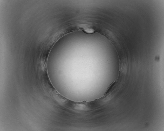 X0000113210285200909241431