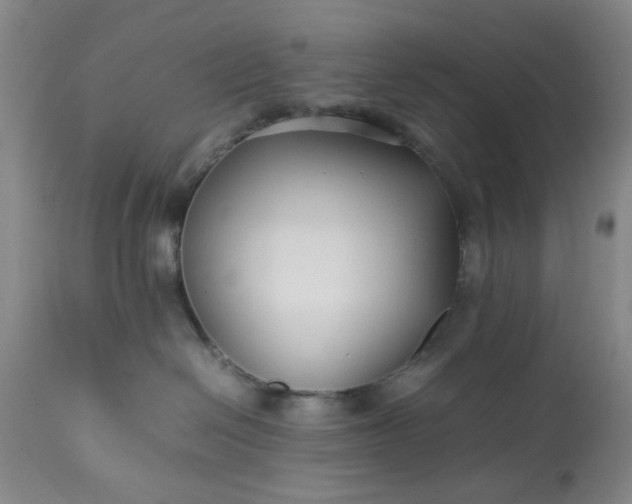 X0000113210286200909241431