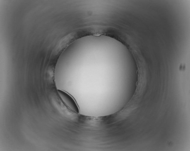 X0000113210288200909241431