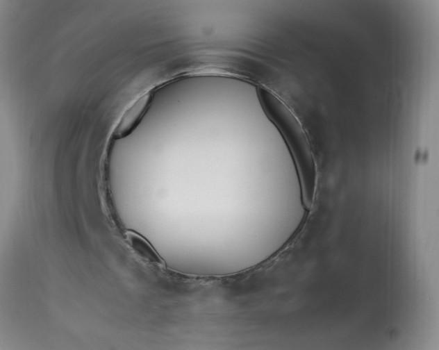 X0000113210289200909241431