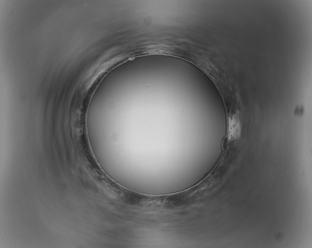 X0000113210291200909241431