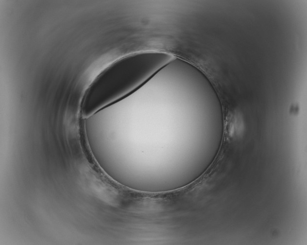 X0000113210292200909241431