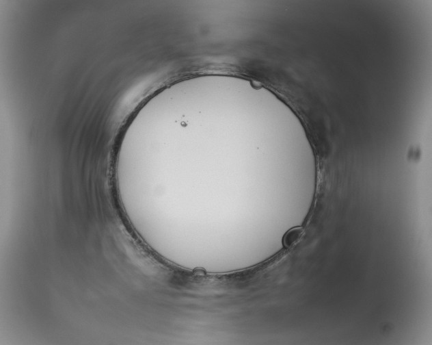 X0000113210293200909241431