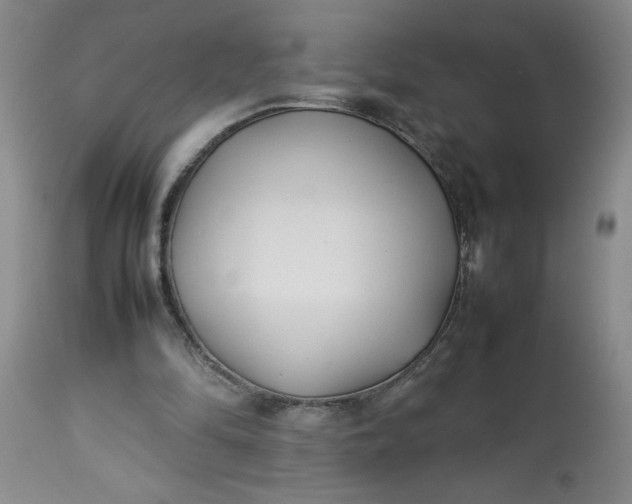 X0000113210294200909241431